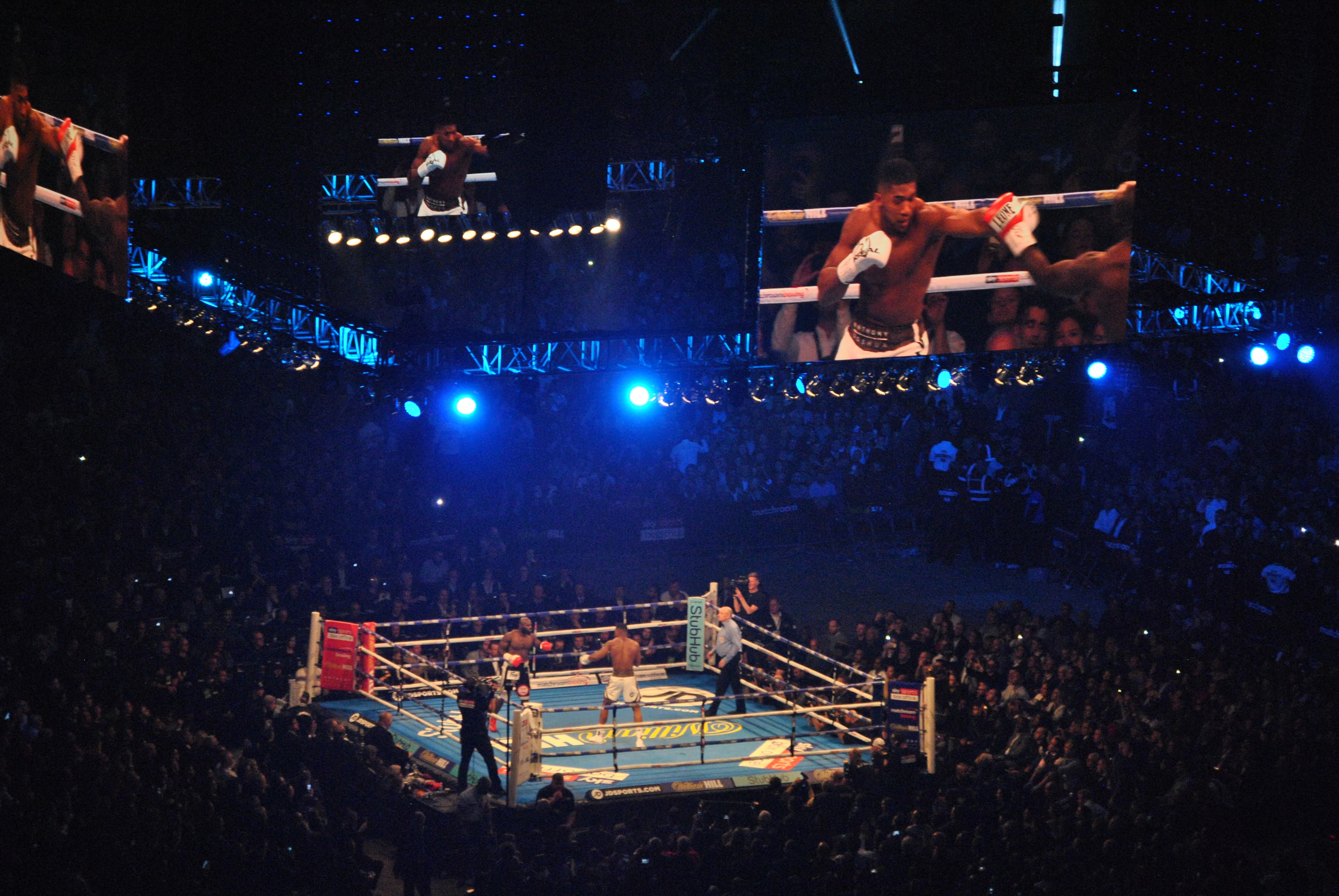Joshua–Fury: the last dance of an era